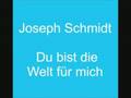Du bist die Welt für mich 