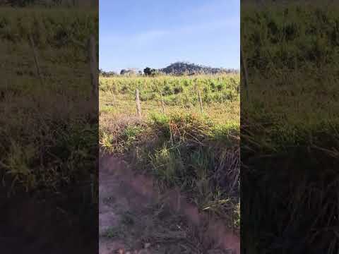 Estância Recanto das Águas- Reserva do Cabaçal-MT