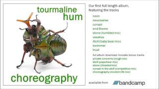 'trust' by tourmaline hum, from the album 'choreography'