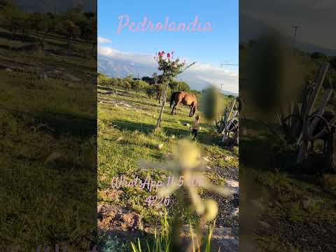 alquilo casa para dos comodidad 4personas MinaClavero cordoba Consultas 11 5 105 4226