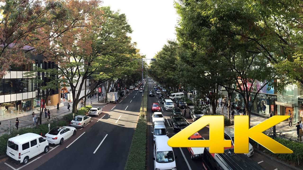 Omotesando Avenue - Tokyo