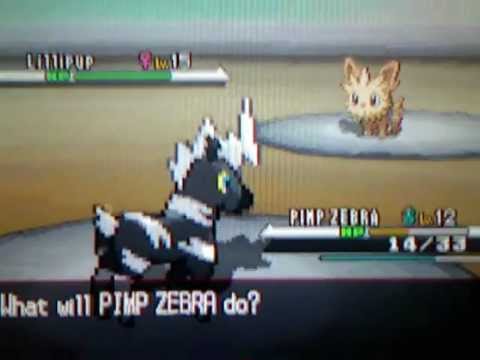 Pokemon Black and White Walkthrough - Part 5 - They Stole Pimpnites Head....