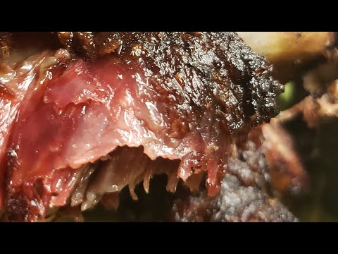 Look// Shiner Beef Ribs #shorts #eatdrinksavor #foodporn