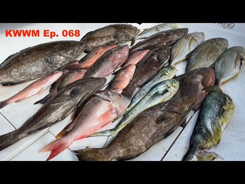 Overnight Spearfishing Trip - Patience is Key