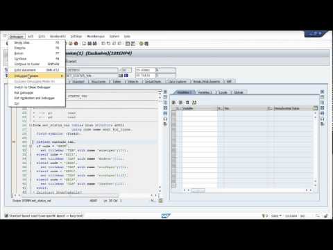 Debugging for Functional Consultants