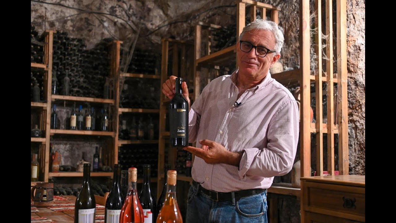 Հայաստանում հիմնվել է աշխարհի ամենաբարձրադիր օրգանական խաղողի այգին