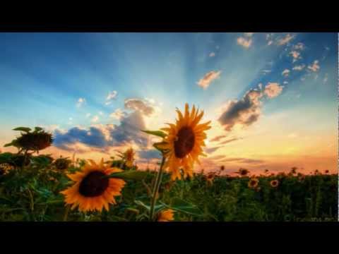Trading my Sorrow sung by Third Day  (HD)