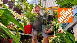 Plenty of Cool Plants at Home Depot Right Now!