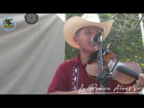 TRIO LOS 3 REALES DE LAGUNA DE VINAZCO EN LA PEDRERA ALAMO VER (EN VIVO)