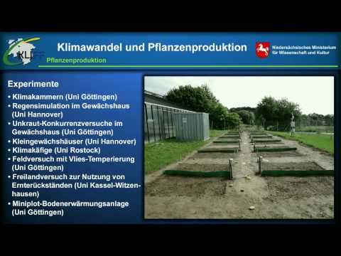 KLIFF - PFLANZENPRODUKTION (Klimafolgenforschung in Niedersachsen)