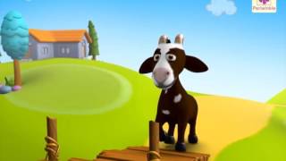 Two Silly Goats  A 3D English Story for Children  
