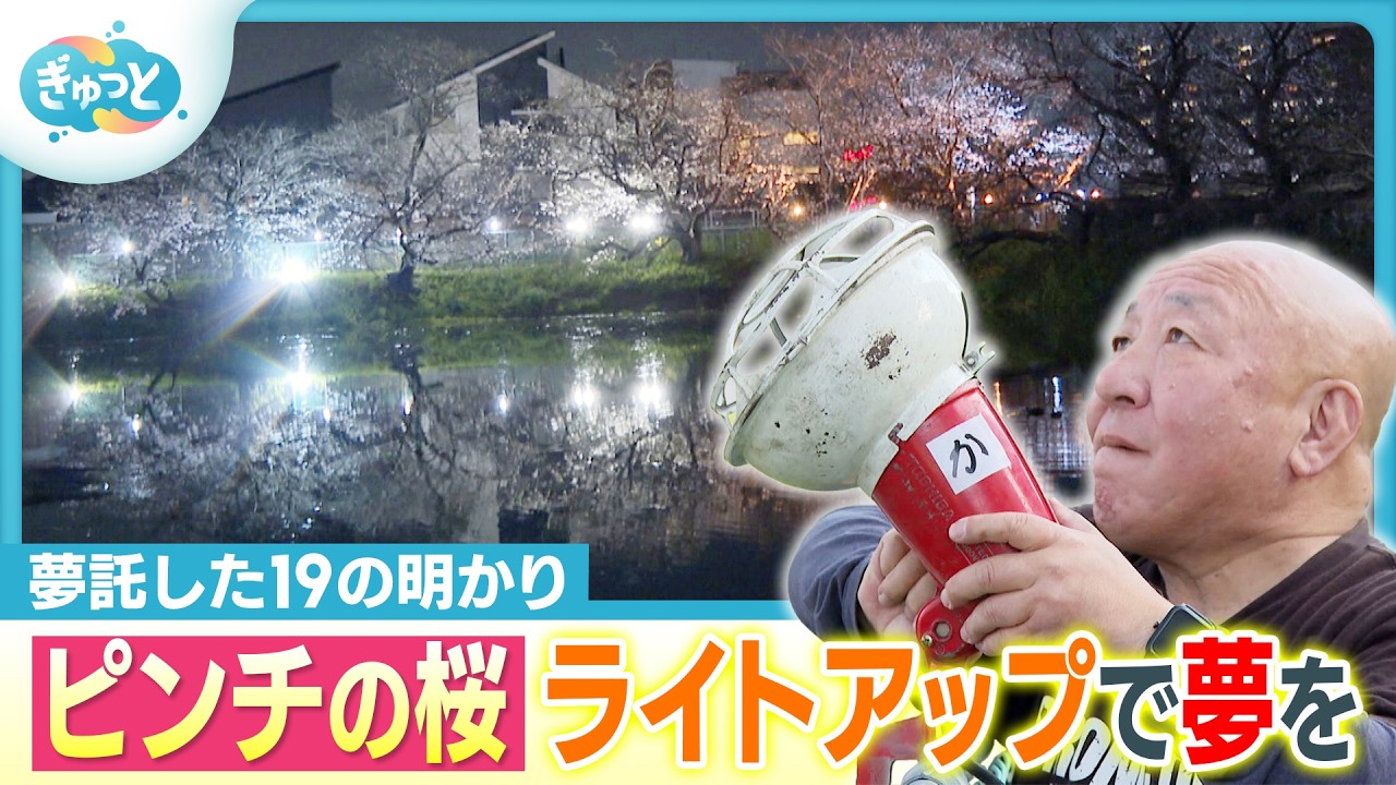 老朽化に腐食…保存しライトアップ酔いしれた「地域の桜」をもう一度 ６５歳の挑戦【ぎゅっと】（2026年4月3日OA）