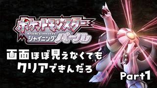 画面ほぼ見えんでもポケモン全クリできんだろ Part1