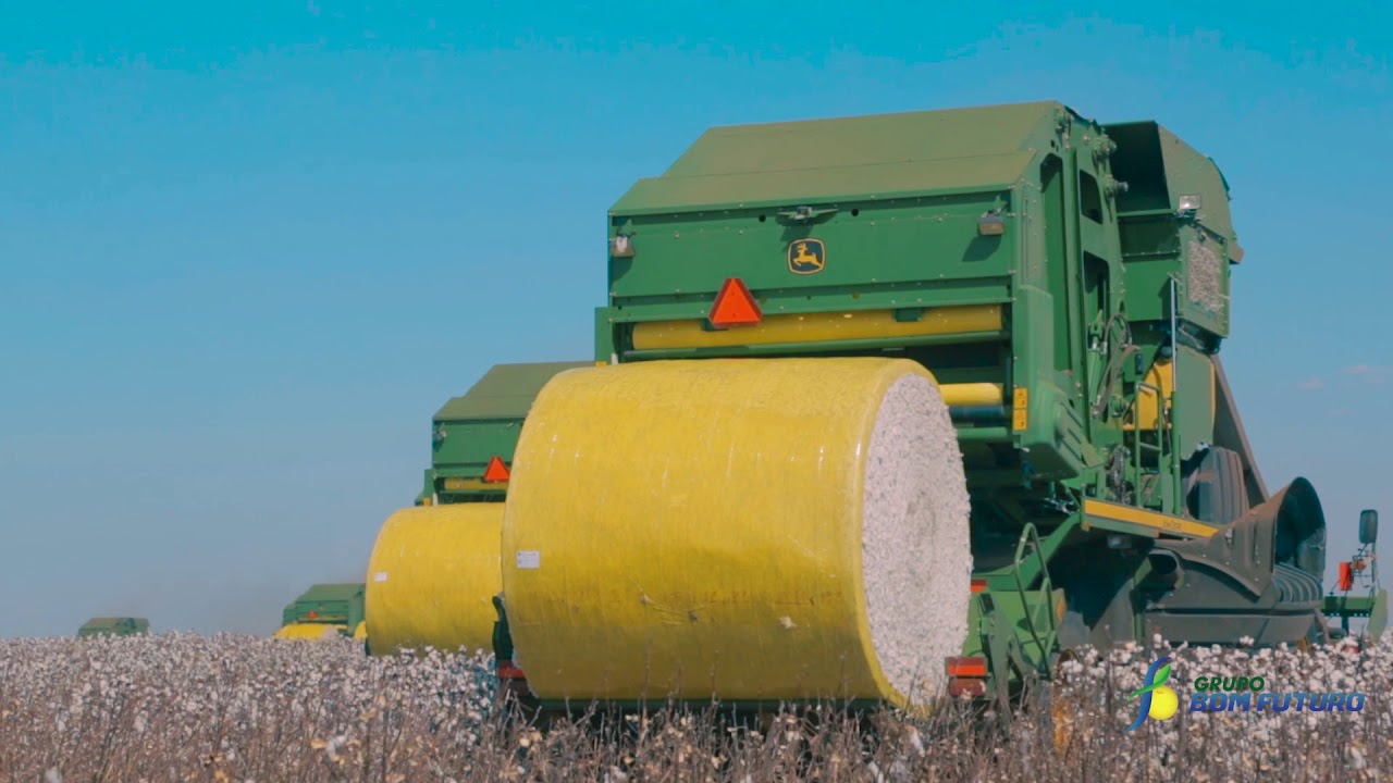 Super Colheita de Algodão - Sapezal MT