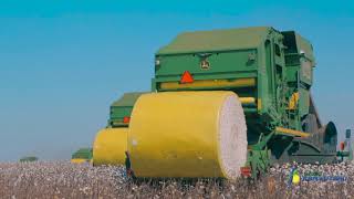 Super Colheita de Algodão - Sapezal MT