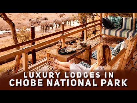 Luxury Lodges in Chobe National Park | Botswana