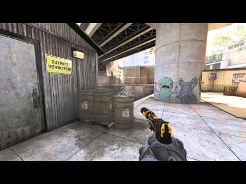 CS:GO - Flamie vs LG(5 headshots)
