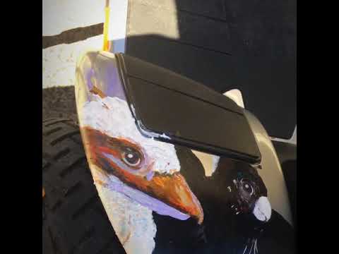 Art over  12 months by Wanda Stafford