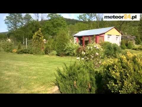 Domek Letniskowy Danik - Radochów meteor24.pl