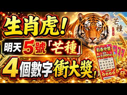 生肖虎恭喜！明天5號「芒種」，你的偏財爆！牢記這4個數字，買彩券或可中大獎！#生肖虎 #偏財運 #芒種節氣 #生肖虎2026運勢 #生肖虎財運 #幸運數字 #招財數字 #生肖虎發財 #屬虎賺錢 #屬虎