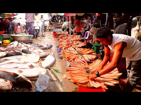 Amazing Site Distributes Alive Fish, Fresh fish, Eel, Snail, Dried Fish & More Cambodia Street Food