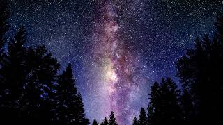 The Breed - Eggs Sunny Side Up Feat  Philanthrope