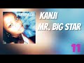 Kanji Mr Big Star