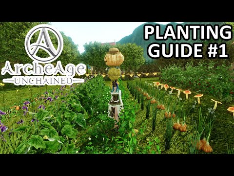 Archeage 101 (2019 Edition) - How to plant more in your 16 x 16 land