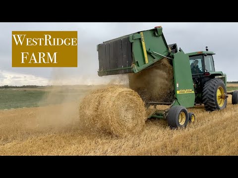 v 208 Making STRAW Bales  Out of DUST ?  :  Sheep farming