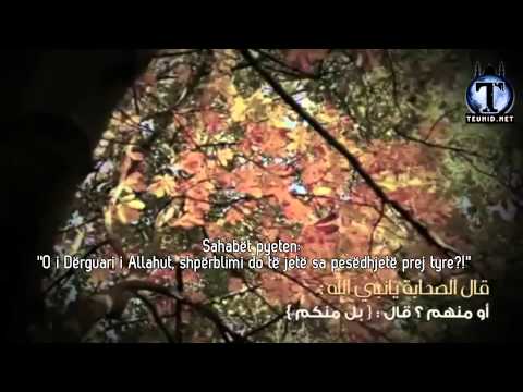 Të huajt, A je ti nga ata? - Shejh Halid Rashid