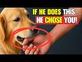 10 Signs Your Dog Has BONDED With You But It S NOT What You Think