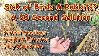 Save Your Garden Seedlings & Transplants from Birds & Rabbits - A Simple & Effective Solutions