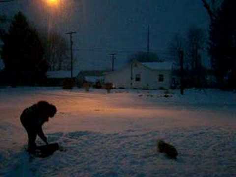 super dog back flips