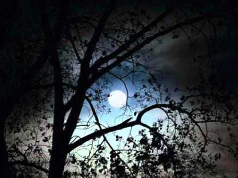 I won´t give up - Judith Jobse