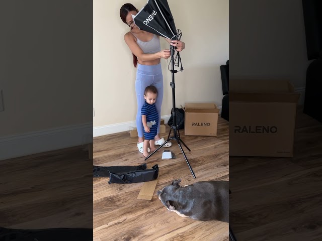 Vídeo relacionado con RALENO Kit de Iluminación de con Fondos, Kit de Soporte de Fondo 2,6 * 3 m, 5500 K LED de luz para fotografía con luz Suave, Paraguas Softbox Iluminación Continua