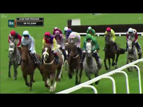 2017 Timico Cheltenham Gold Cup - Cheltenham Festival