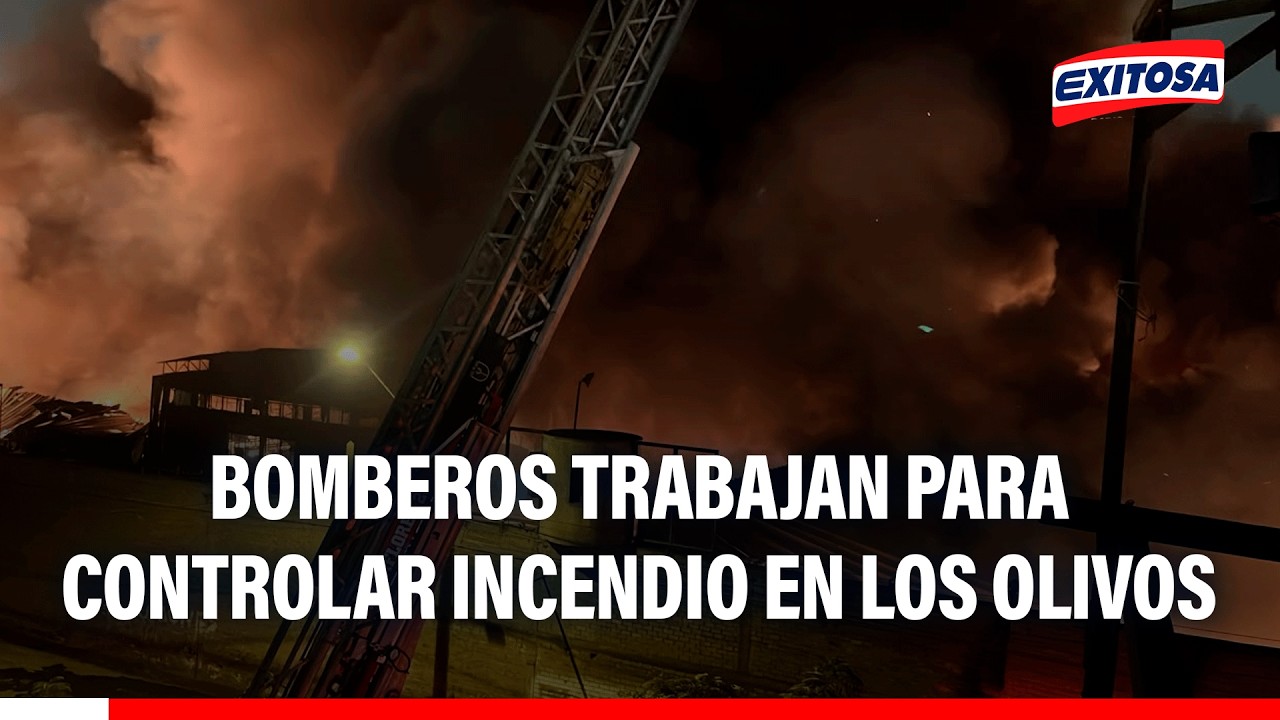 🔴🔵 Incendio en Los Olivos: Bomberos trabajan para controlar el siniestro