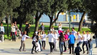 preview picture of video 'International Rueda De Casino - Multi Flash Mob Day - Plesni klub Sueño Latino (Portorož, Slovenia)'