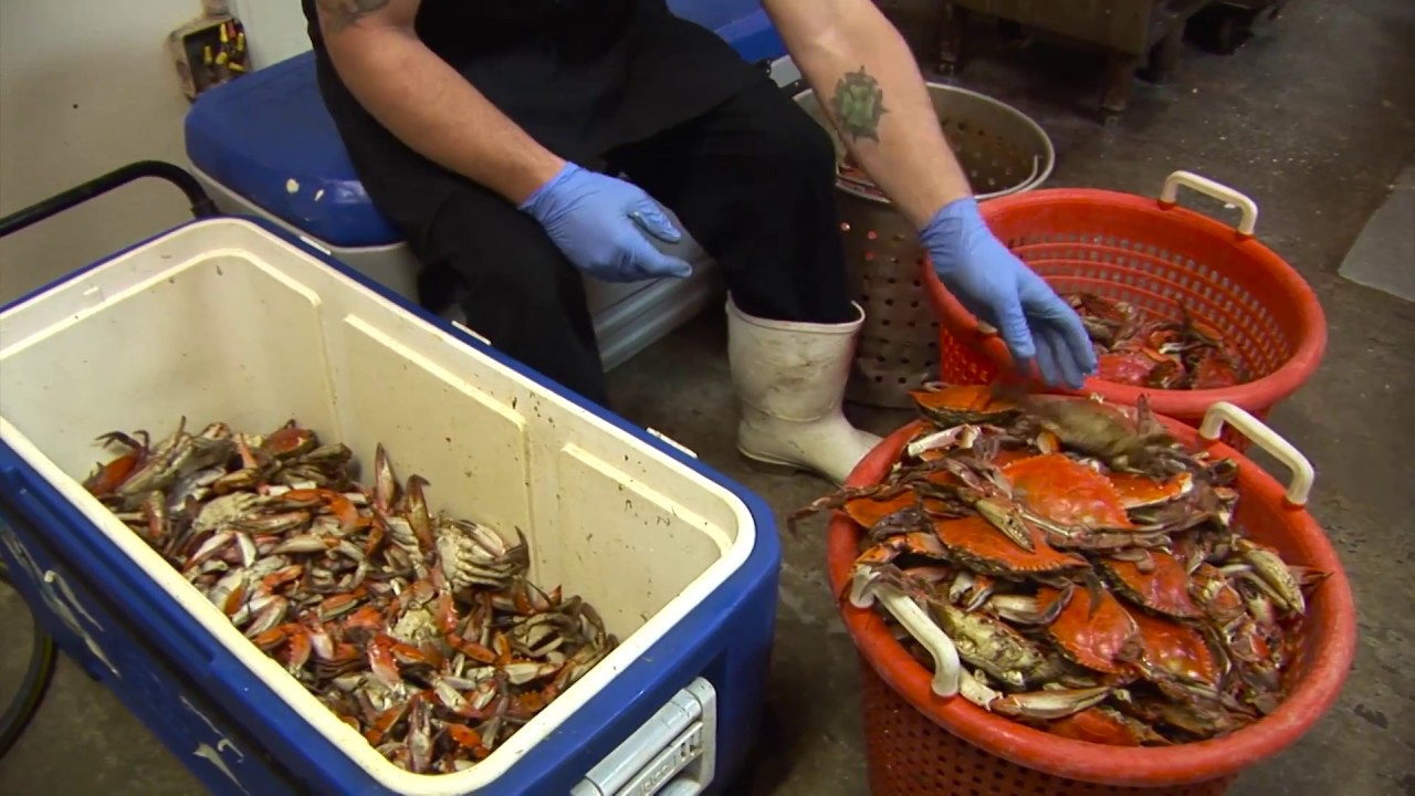 Seafood Shop