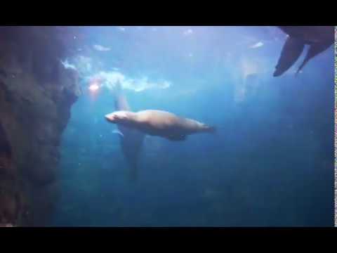 Viktor Link | Maranatha 19. Mai 2020 EGW - Auf der Hut vor selbstgebastelten Prüfsteinen!