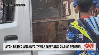 Download lagu Ayah Murka Anaknya Tewas Diserang Anjing Pemburu mp3 Download lagu Ayah Murka Anaknya Tewas Diserang Anjing Pemburu mp3