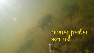 Рыбалка на майские праздники в астрахани