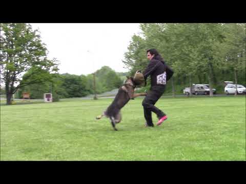 Jaggo Leryka - protection - 5/2020