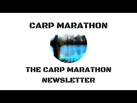 THE CARP MARATHON NEWSLETTER