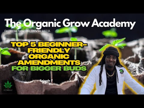 🌱 Top 5 Beginner-Friendly Organic Amendments for Bigger Buds 🌱