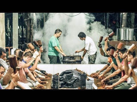 Bateção de Jagube | Germano Guilherme, 52 "Eu recebi"  Céu da Nova Vida - Daime