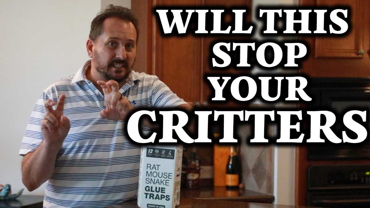 Catchmaster Baited Rat, Mouse, and Snake Glue Traps - Unboxing & Review