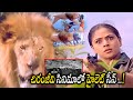 Mrugaraju Chiranjeevi Movie Ultimate Lion Fight Scene Telugu Movie Scenes Multiplex Telugu