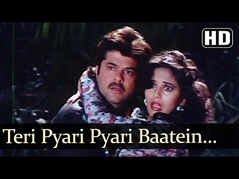Teri Pyari Pyaari Batein Batein - Anil Kapoor  - Madhuri Dixit - Jamai Raja - Bollywood Songs