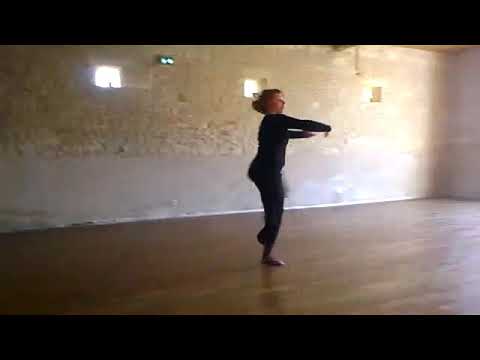 Alice Bourgasser inter class variation